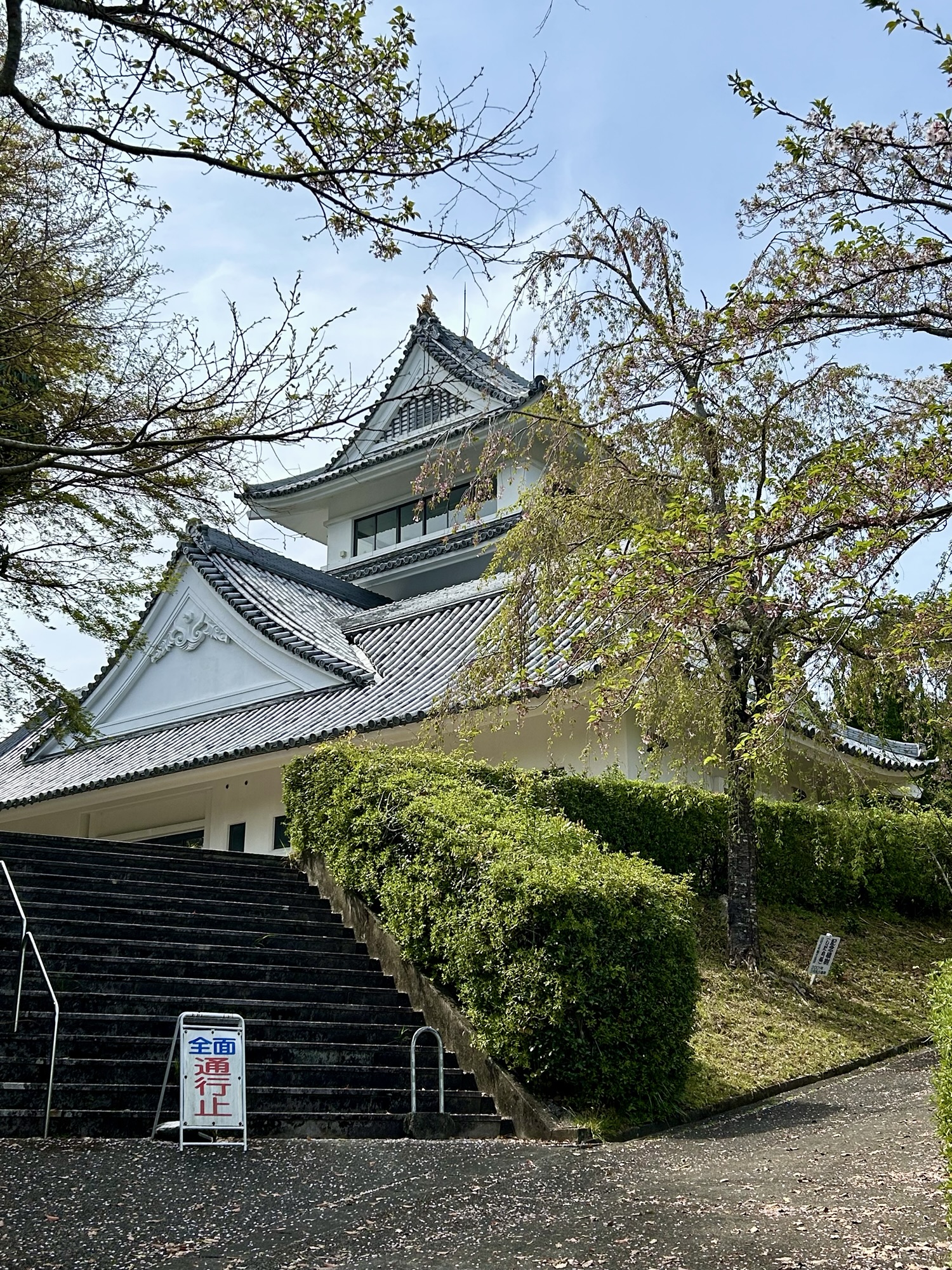ハイキング🏞️