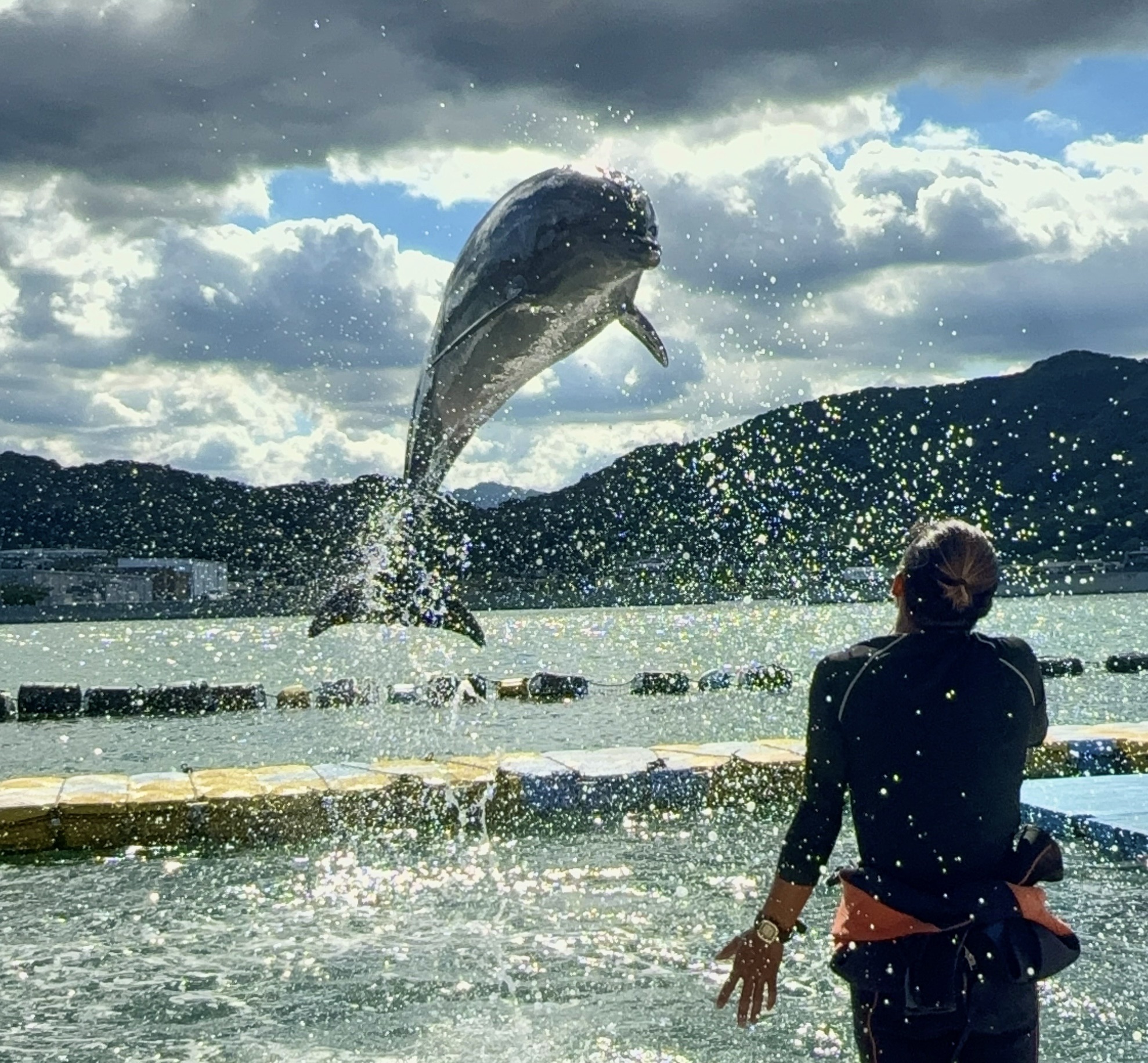 ドルフィンセンター