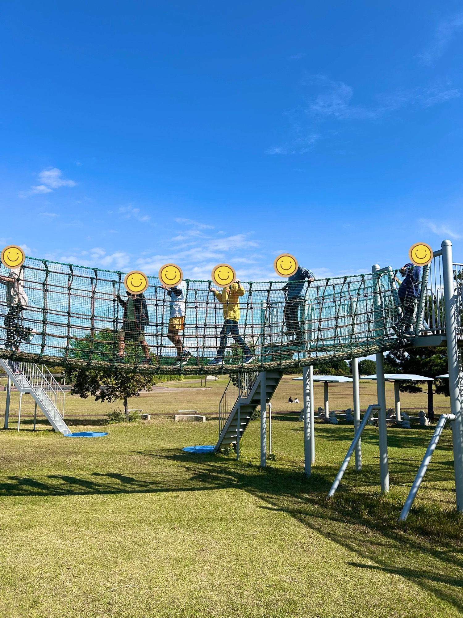 11月の活動紹介